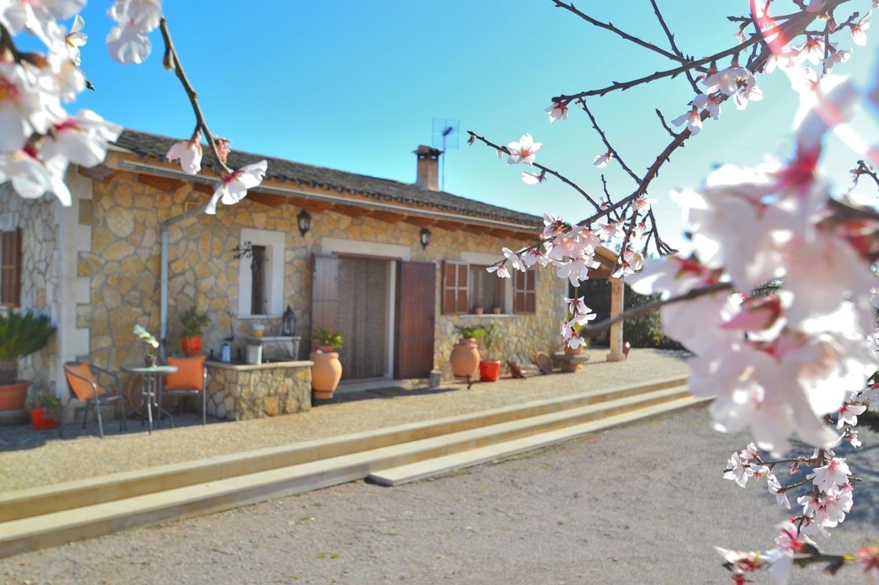 078 Finca Sa Rota Vt1953 By Mallorca Charme Ariany 외부 사진